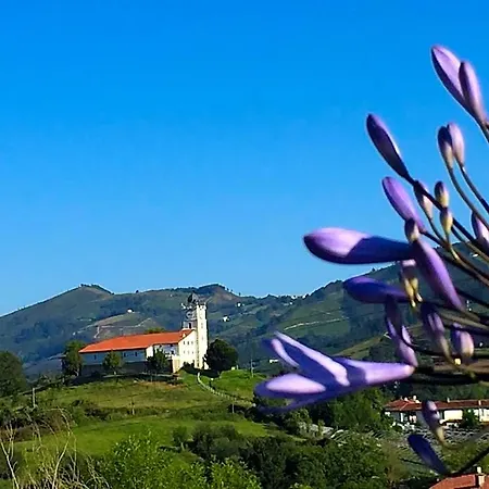 Abaraxka Disfruta La Vía Del Urola Hasta La Playa - Naturaleza Montañas Y Riqueza Cultural * Azcoitia